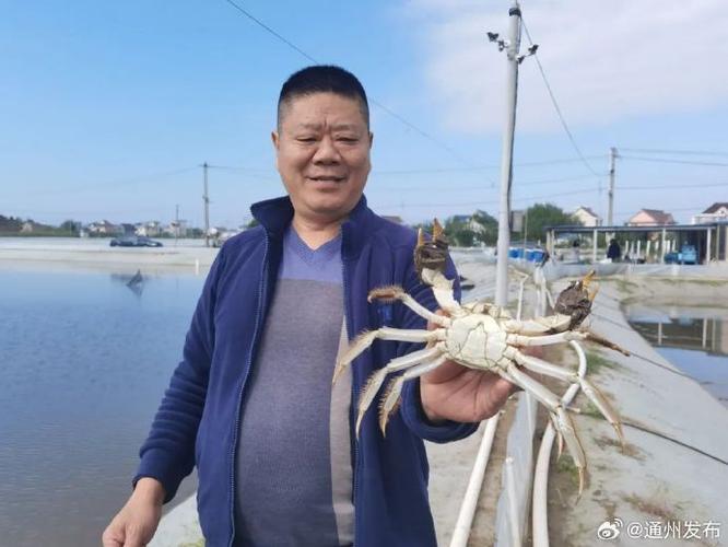 江苏泰州水产养殖大户有何致富秘诀？-第3张图片-宁夏农业信息网