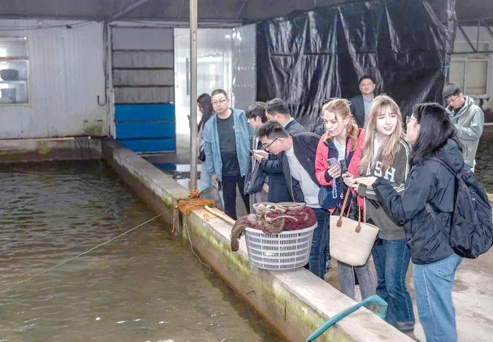 江苏泰州水产养殖大户有何致富秘诀？-第2张图片-宁夏农业信息网