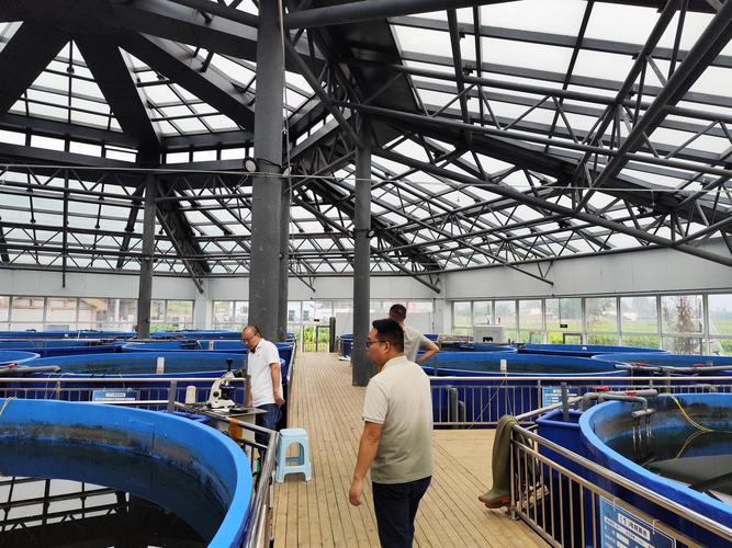 个人水产养殖经营现状如何？-第2张图片-宁夏农业信息网