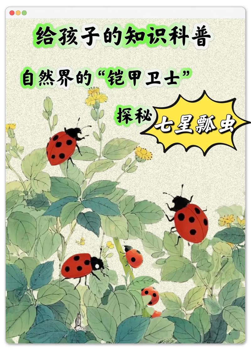 瓢虫怎么养？有哪些注意事项？-第2张图片-宁夏农业信息网