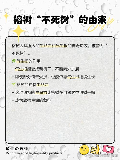 哪些榕树品种会长气生根？-第1张图片-宁夏农业信息网