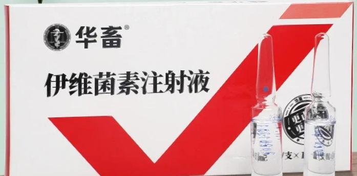 猪血养虫子具体咋操作？-第2张图片-宁夏农业信息网