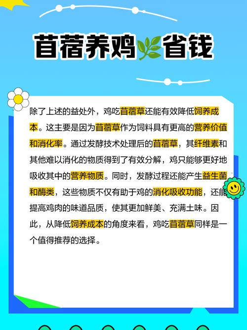 发酵青饲料养鸡怎么制作？-第3张图片-宁夏农业信息网