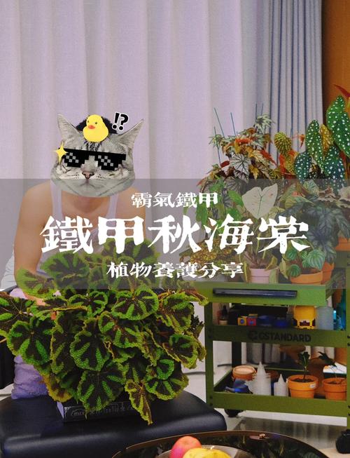 大叶海棠冬季怎么养才能安全过冬？-第1张图片-宁夏农业信息网