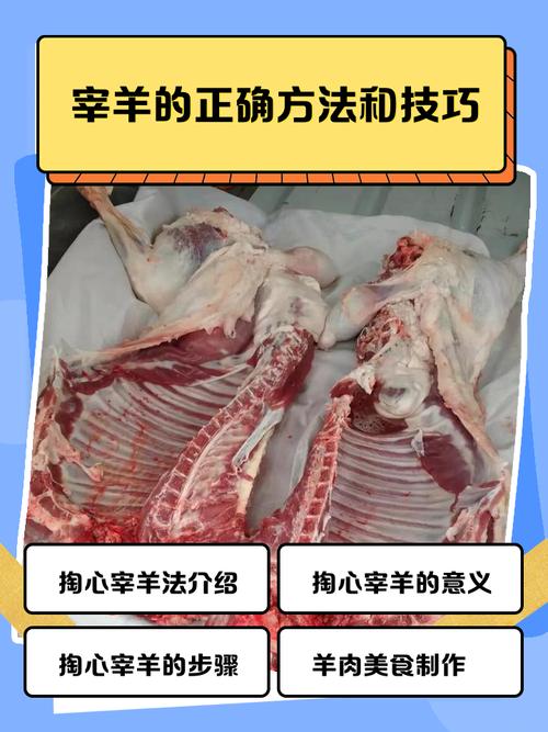 羊养殖技术与方法有哪些关键要点？-第2张图片-宁夏农业信息网