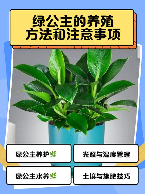 绿霸王如何繁殖？具体方法有哪些？-第3张图片-宁夏农业信息网