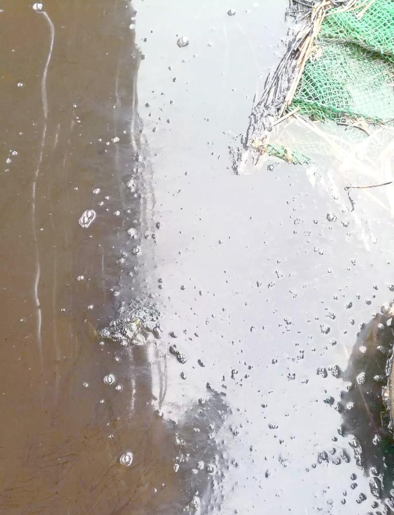 水产养殖高温天气怎么办？-第1张图片-宁夏农业信息网