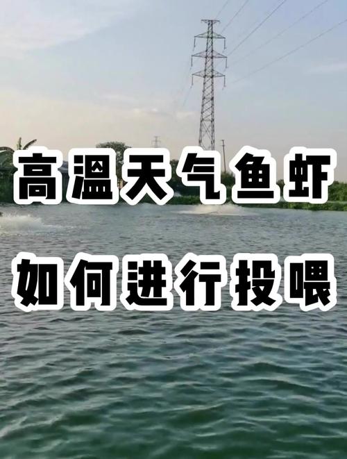 水产养殖高温天气怎么办？-第3张图片-宁夏农业信息网