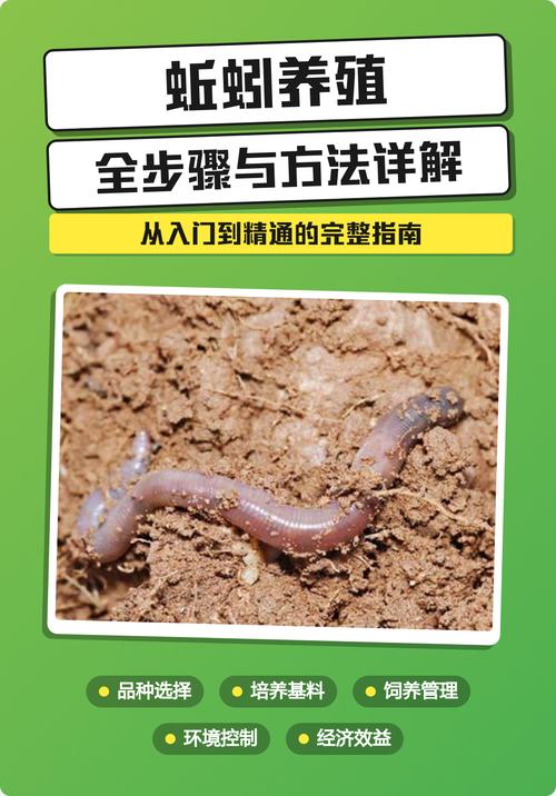 人工养殖常见蚯蚓品种有哪些？-第3张图片-宁夏农业信息网
