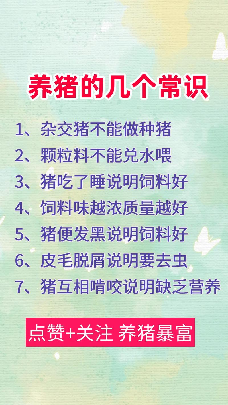 野猪饲养方法及注意事项-第1张图片-宁夏农业信息网 野猪饲养方法及注意事项-第1张图片-宁夏农业信息网