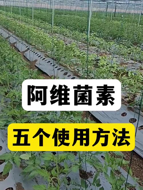 水产阿维菌素中毒后怎么解毒?-第1张图片-宁夏农业信息网 水产阿维菌素中毒后怎么解毒?-第1张图片-宁夏农业信息网