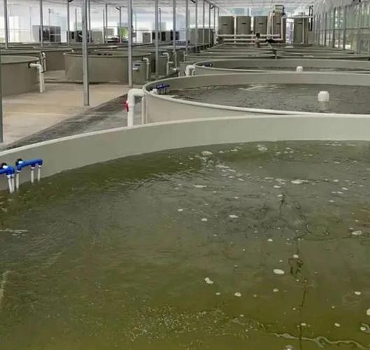 山东淄博水产养殖设备怎么选？-第1张图片-宁夏农业信息网