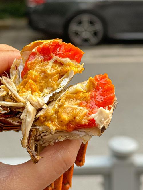 无锡苏南水产螃蟹商家哪家好?-第1张图片-宁夏农业信息网 无锡苏南水产螃蟹商家哪家好?-第1张图片-宁夏农业信息网