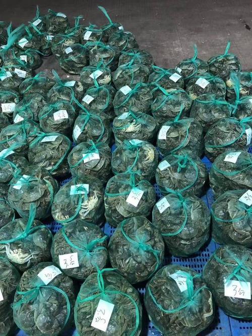 无锡苏南水产螃蟹商家哪家好？-第2张图片-宁夏农业信息网