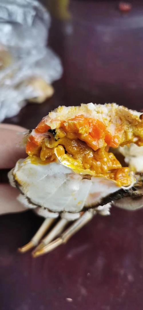 无锡苏南水产螃蟹商家哪家好?-第3张图片-宁夏农业信息网 无锡苏南水产螃蟹商家哪家好?-第3张图片-宁夏农业信息网