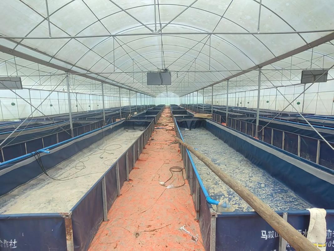 水产动物养殖环境具体包含哪些要素？-第3张图片-宁夏农业信息网