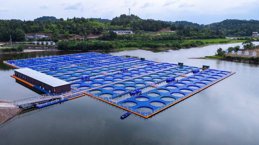 特色生态水库如何高效水产养殖？-第2张图片-宁夏农业信息网