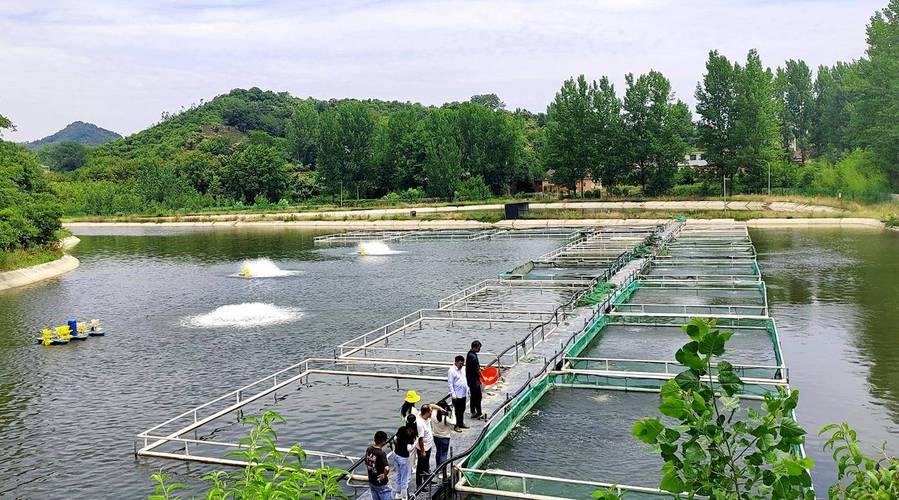 特色生态水库如何高效水产养殖?-第3张图片-宁夏农业信息网 特色生态水库如何高效水产养殖?-第3张图片-宁夏农业信息网