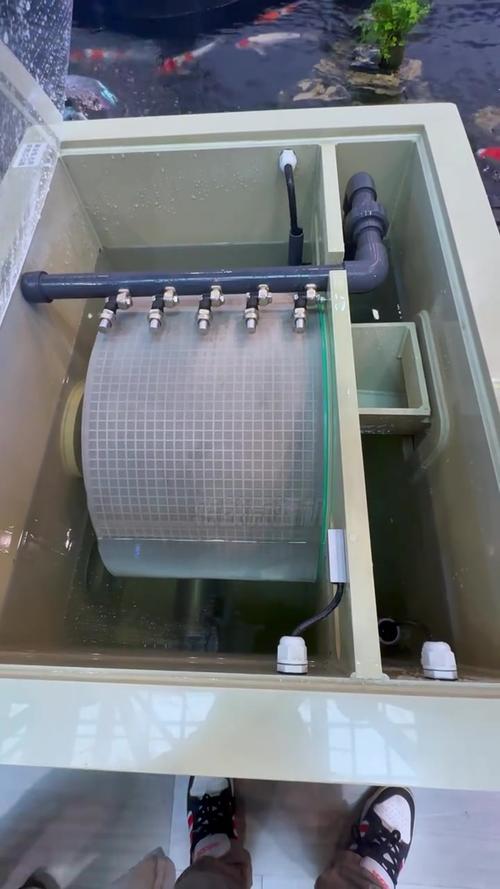 室内水产养殖过滤系统该如何高效搭建？-第1张图片-宁夏农业信息网