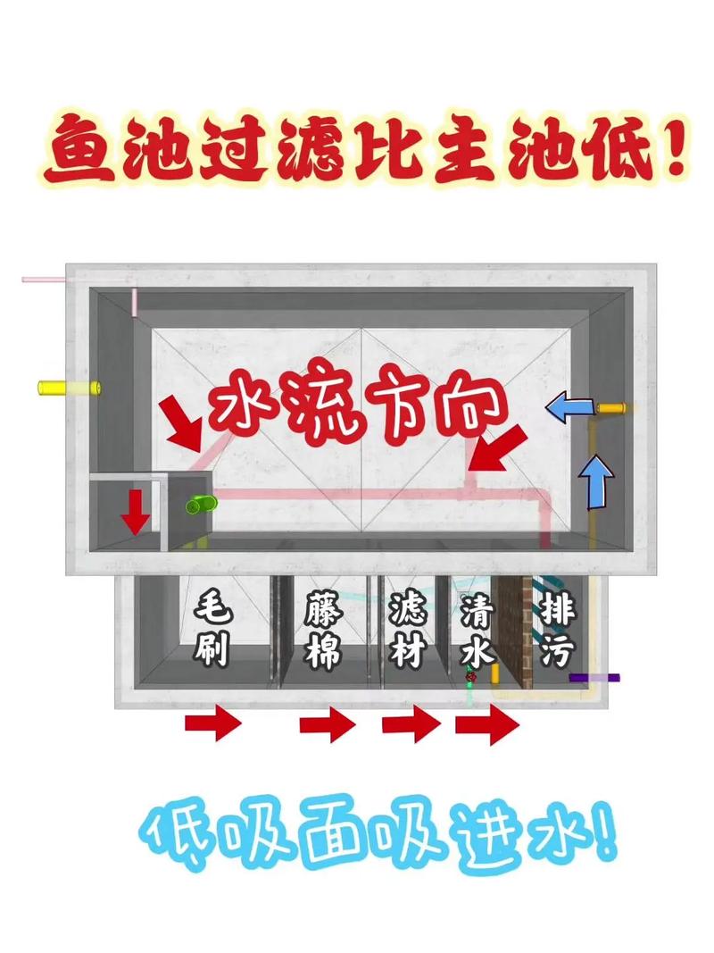 室内水产养殖过滤系统该如何高效搭建？-第2张图片-宁夏农业信息网