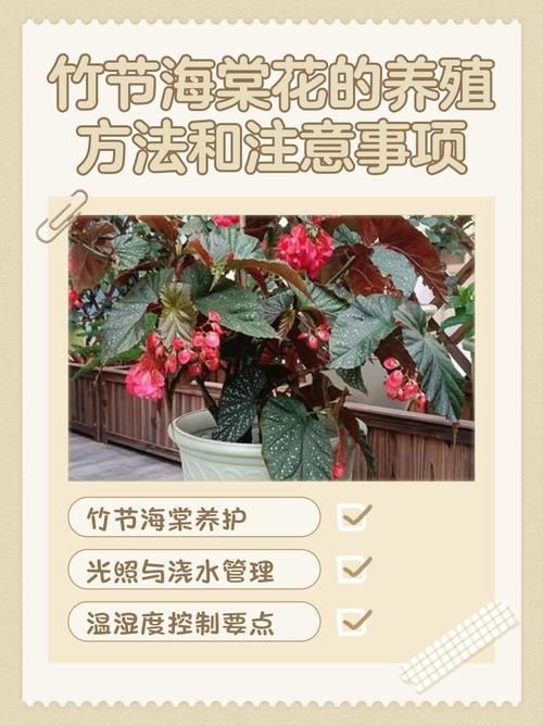 竹叶海棠花期如何养护延长？-第1张图片-宁夏农业信息网