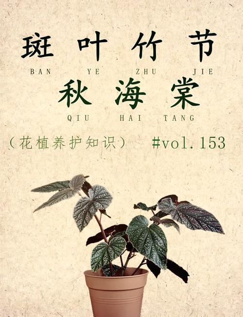 竹叶海棠花期如何养护延长？-第2张图片-宁夏农业信息网