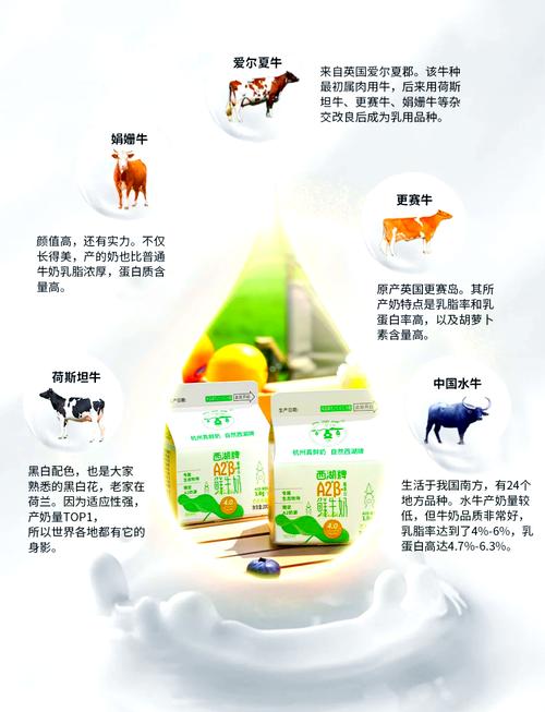 奶牛品种有哪些?-第1张图片-宁夏农业信息网 奶牛品种有哪些?-第1张图片-宁夏农业信息网