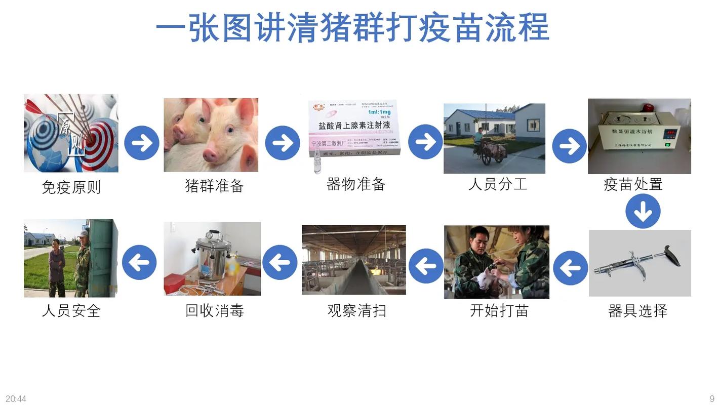 水产育苗隔离防疫有何关键措施？-第3张图片-宁夏农业信息网