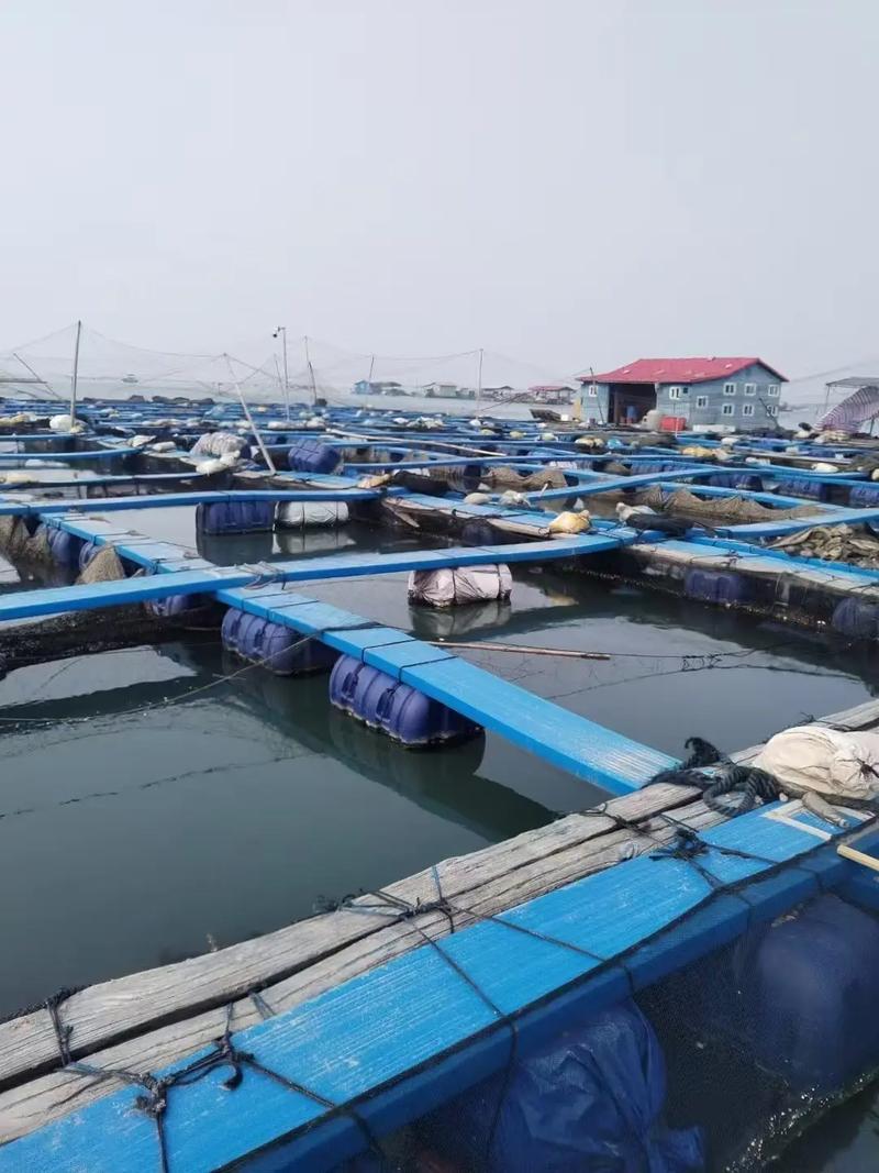 福建水产养殖规模有多大？-第2张图片-宁夏农业信息网