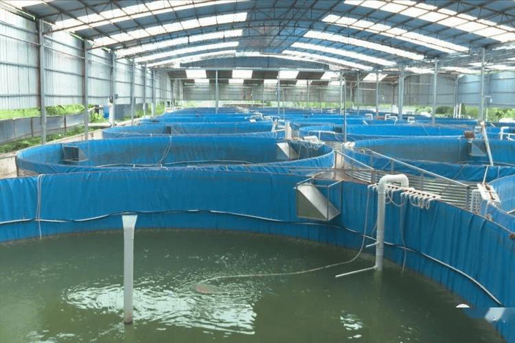 福建水产养殖规模有多大？-第3张图片-宁夏农业信息网