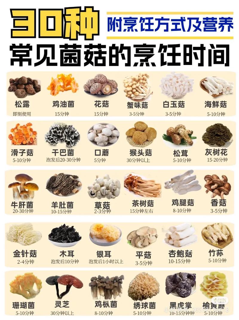 所有可种植蘑菇品种有哪些？-第1张图片-宁夏农业信息网