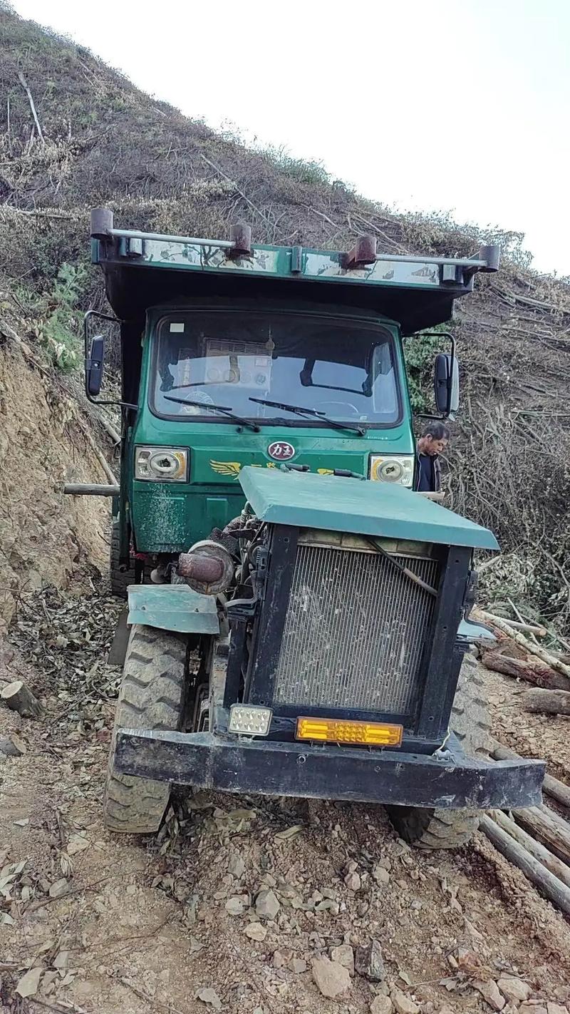 南宁二手农用铁牛多少钱？-第2张图片-宁夏农业信息网