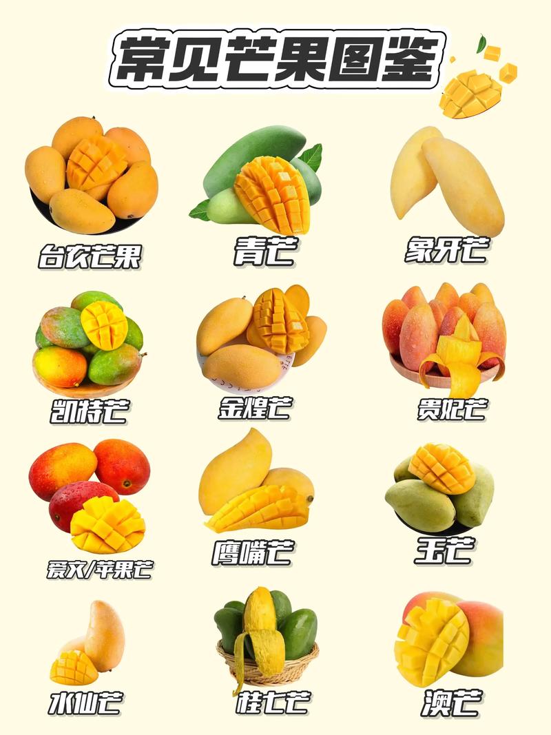 现在种什么水果品种最赚钱？-第2张图片-宁夏农业信息网