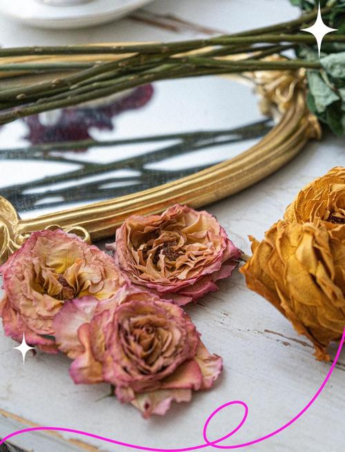 花风干有哪些方法？-第2张图片-宁夏农业信息网