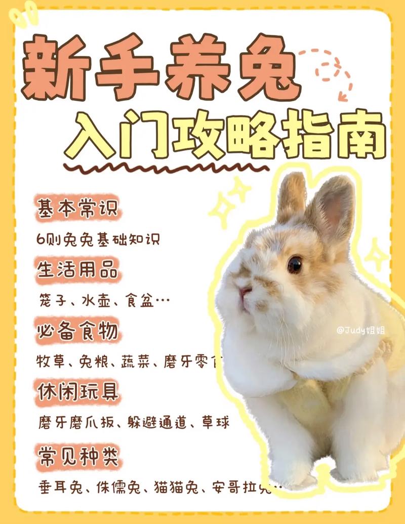 兔子养殖方法与视频教程具体怎么学？-第1张图片-宁夏农业信息网