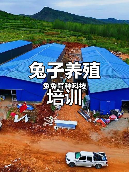 兔子养殖方法与视频教程具体怎么学？-第3张图片-宁夏农业信息网