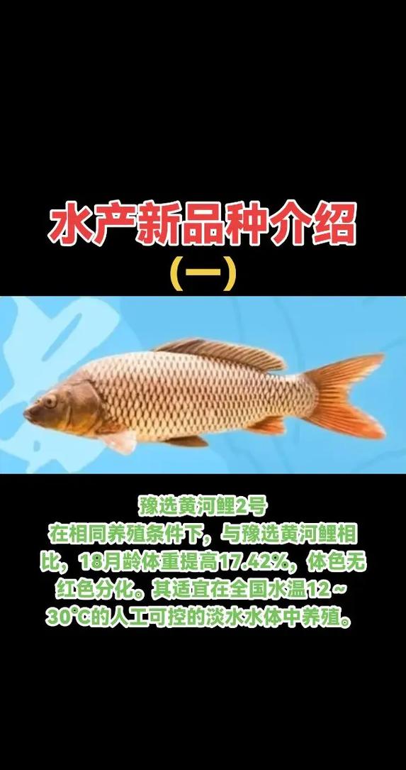 2025年渔业养殖新品种有哪些？-第2张图片-宁夏农业信息网