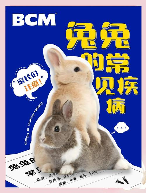 家兔白色痢疾怎么防治？-第1张图片-宁夏农业信息网