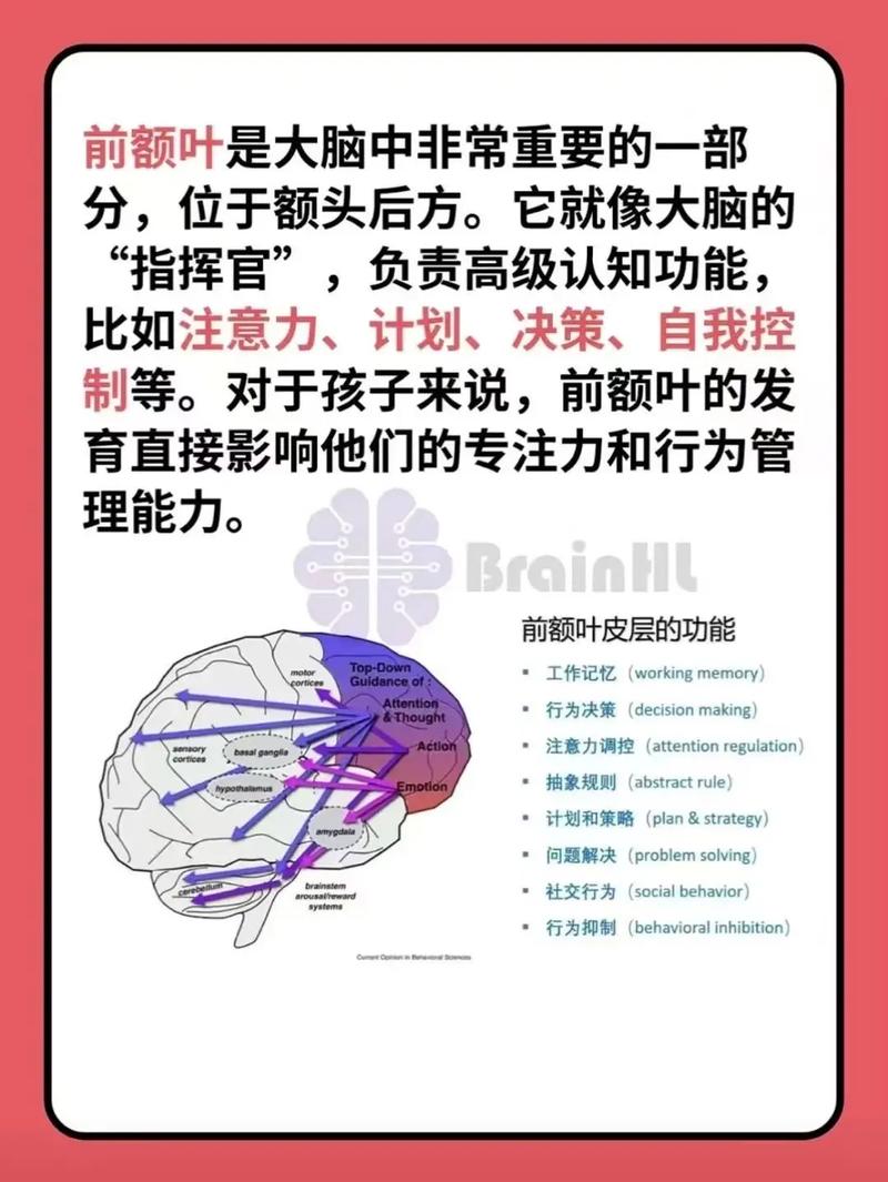儿童额叶综合征有哪些有效治疗方法？-第1张图片-宁夏农业信息网