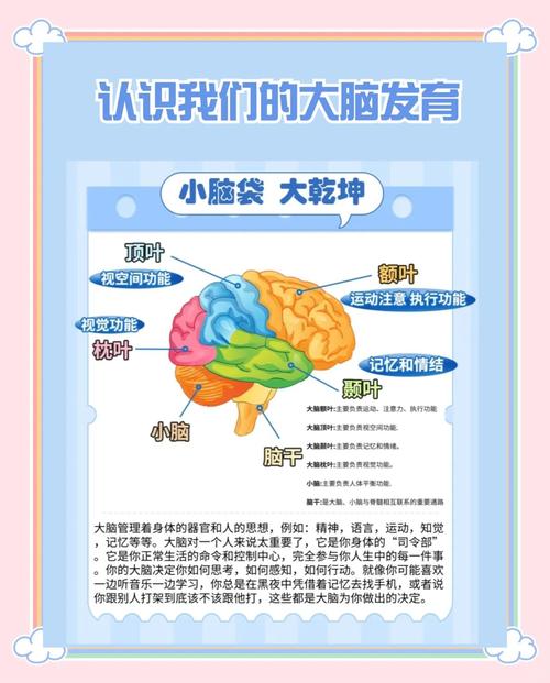 儿童额叶综合征有哪些有效治疗方法？-第2张图片-宁夏农业信息网
