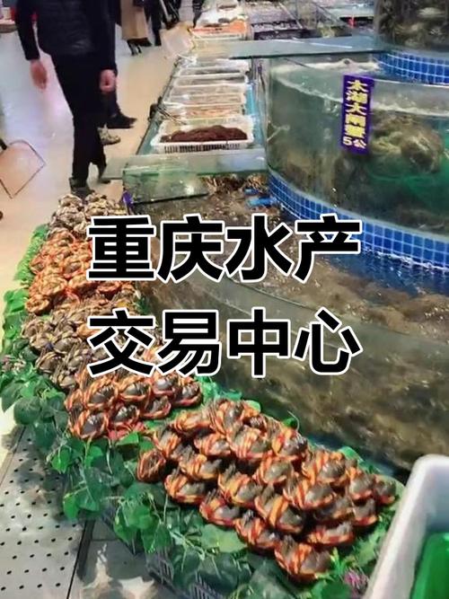 重庆南坪水产批发中心-第3张图片-宁夏农业信息网