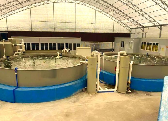 生态水产养殖多品种立体如何高效共生？-第3张图片-宁夏农业信息网