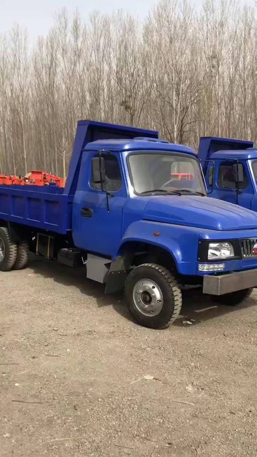 农用二手尖头自卸货车怎么选？-第1张图片-宁夏农业信息网