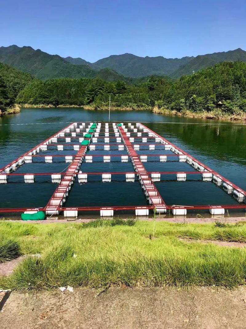 中国水产养殖大省是哪里？-第3张图片-宁夏农业信息网