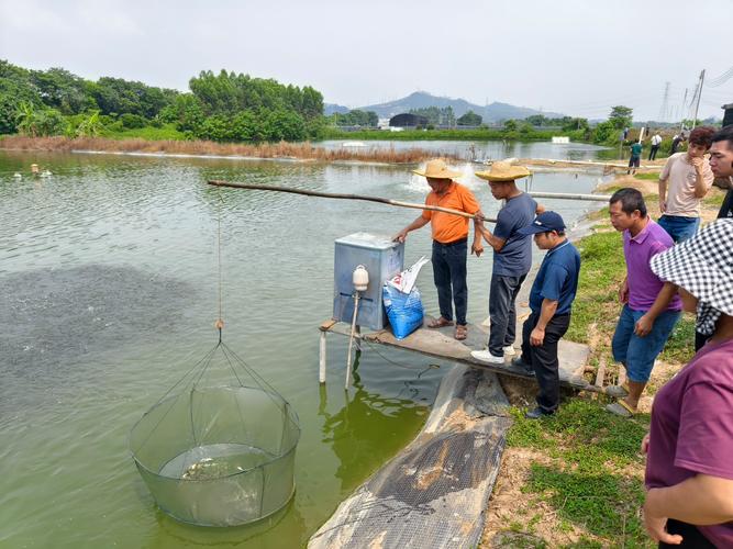 哪里可以学习养殖水产-第1张图片-宁夏农业信息网 哪里可以学习养殖水产-第1张图片-宁夏农业信息网