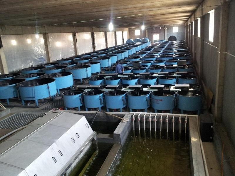 青岛水产公司宿舍具体位置在哪？-第3张图片-宁夏农业信息网