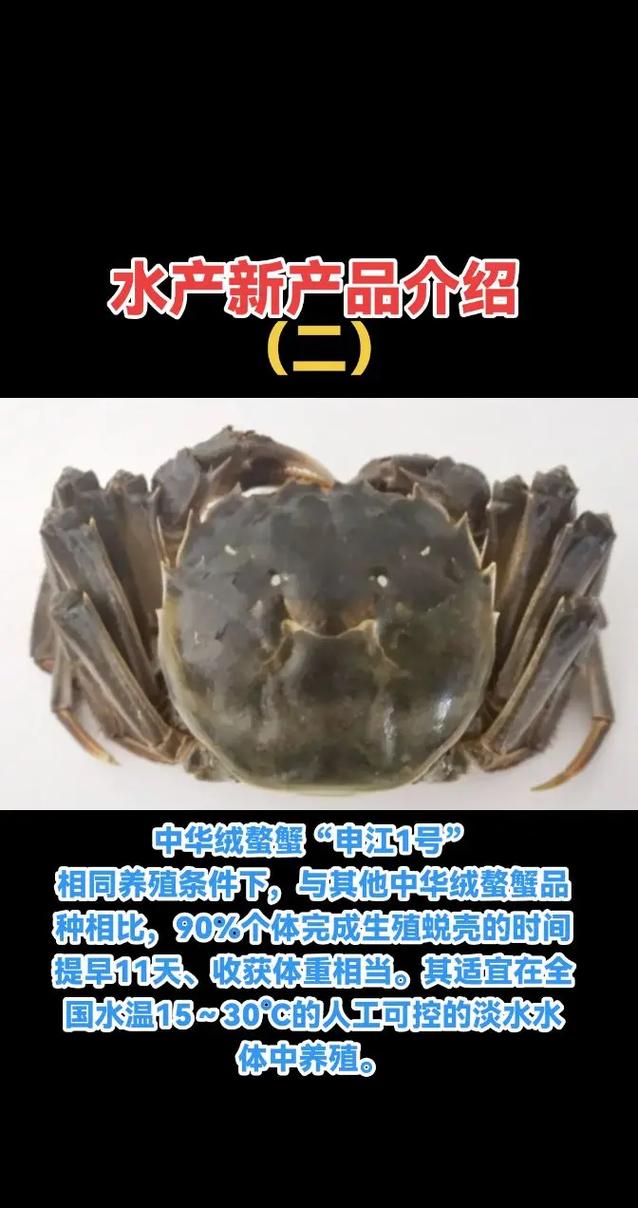 2025顺德水产新品种有哪些亮点？-第3张图片-宁夏农业信息网