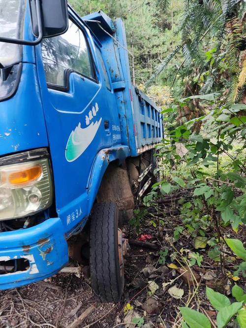 云南二手农用自卸车价格多少？-第1张图片-宁夏农业信息网