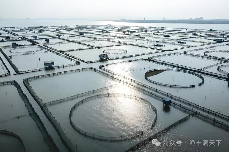 2025年水产养殖，机遇与挑战如何？-第3张图片-宁夏农业信息网