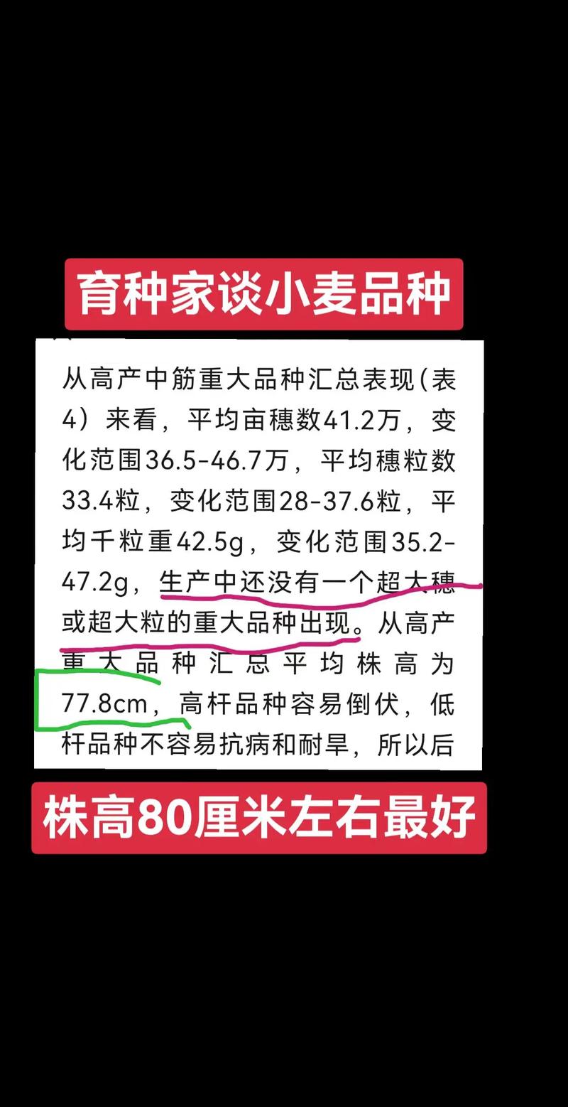 中麦255小麦品种有何特点？-第1张图片-宁夏农业信息网